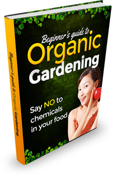 Beginner's Guide to Organic Gardening ebook